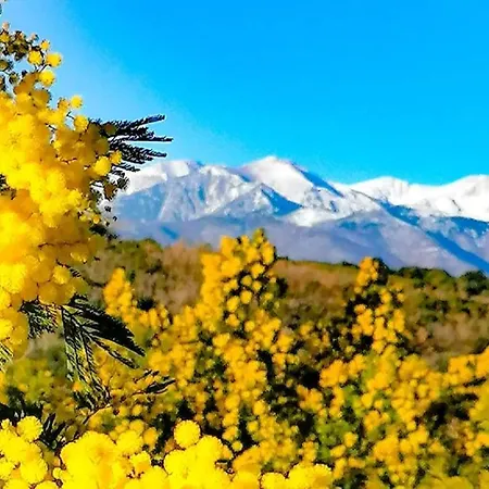 Villa SOREDE Bed & Breakfast 3*